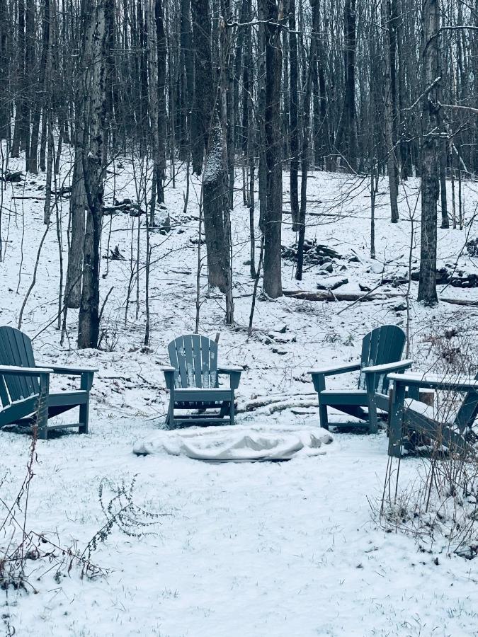 Cozy Cottage With Jacuzzi And Fire Pit And Reading Nook! Livingston Manor Екстер'єр фото