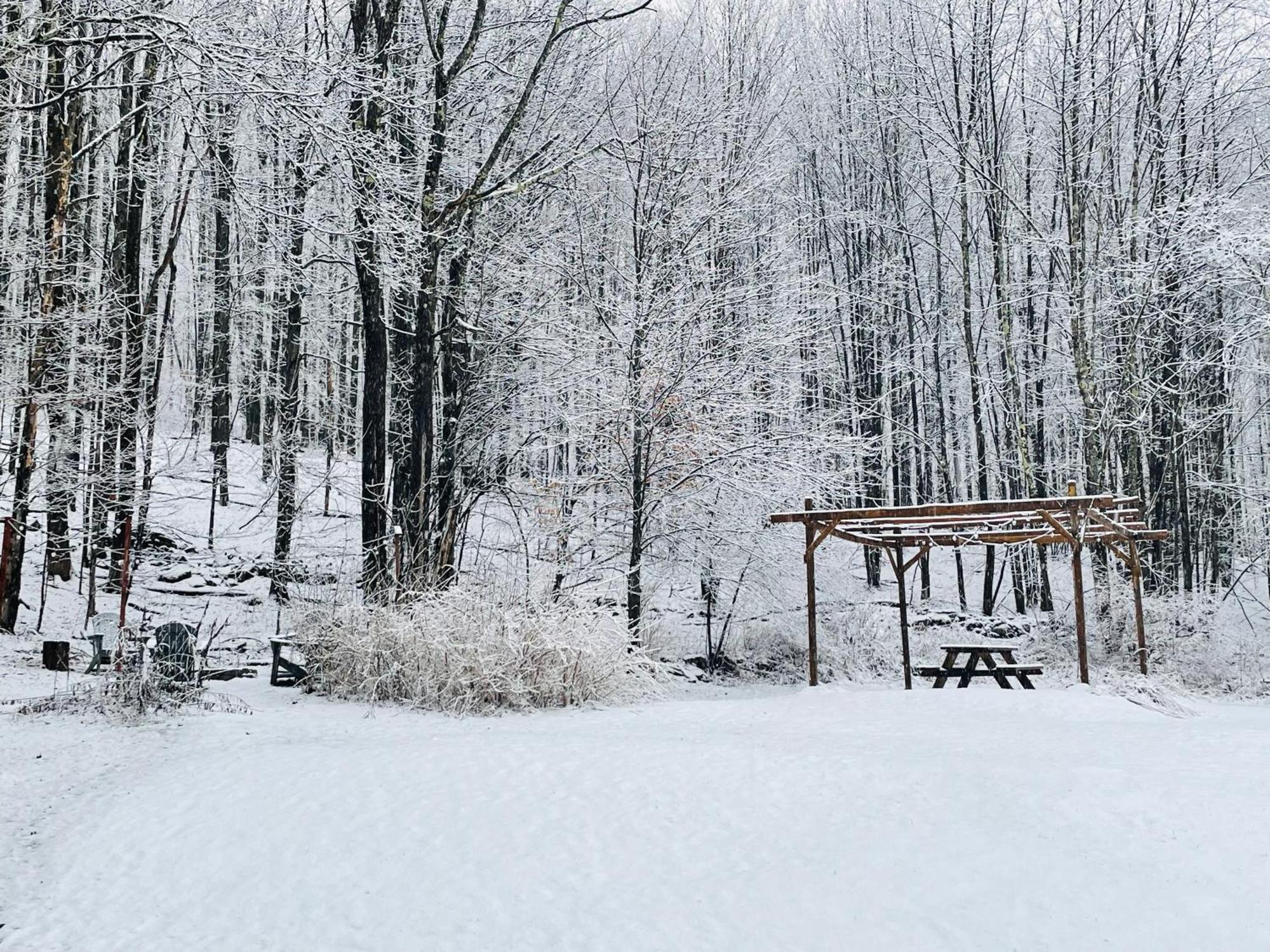 Cozy Cottage With Jacuzzi And Fire Pit And Reading Nook! Livingston Manor Екстер'єр фото